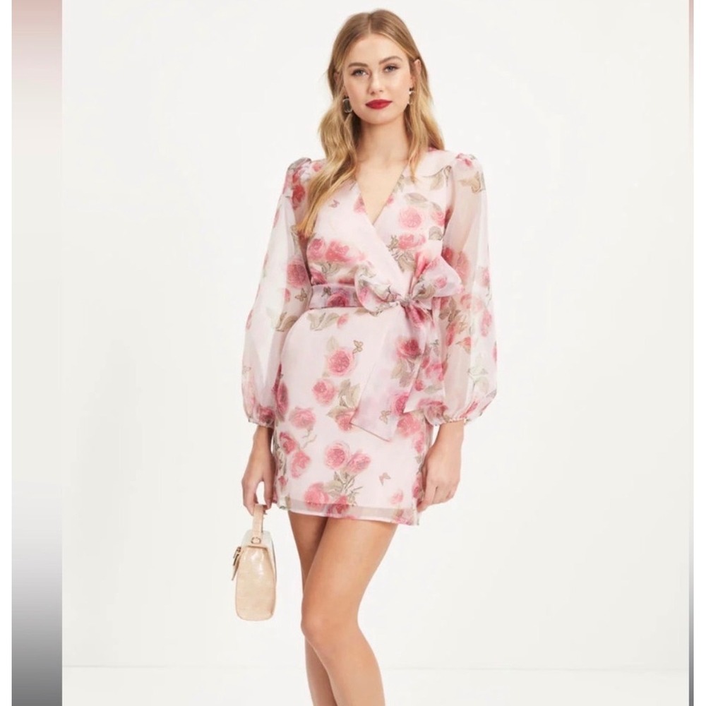 Storia Mini Dress Women XL Pink Floral Organza Wrap HD1745VC Fairy Garden‎ party